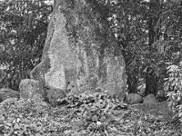 DSCF0235 1  Stuttgart centre : The Bosch family plot - as in Robert Bosch - OOC