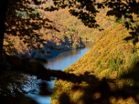 A glimpse of the Saar through the trees