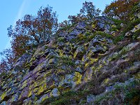 Sulphurous rock along the banks of the Saar