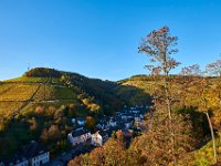 ...and surrounded by vineyards