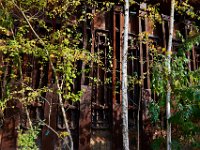 The coking plant being reclaimed by nature in the Paradise garden