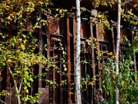 The coking plant being reclaimed by nature in the Paradise garden